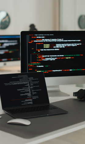 Website Monitoring